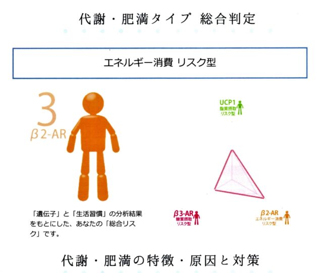 DNA検査結果レポート