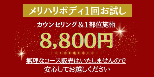 メリハリボディ１回お試しクーポン画像